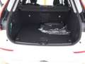 Volvo XC60 T8 Plus Bright Recharge Plug-In Hybrid AWD Weiß - thumbnail 7