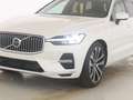 Volvo XC60 T8 Plus Bright Recharge Plug-In Hybrid AWD Weiß - thumbnail 8