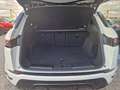 Land Rover Range Rover Evoque 2.0D I4 MHEV R-Dynamic S AWD Aut. 204 Blanco - thumbnail 10