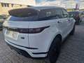 Land Rover Range Rover Evoque 2.0D I4 MHEV R-Dynamic S AWD Aut. 204 Blanco - thumbnail 4