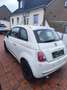 Fiat 500 500 1.2 Pop - thumbnail 3