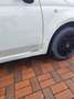Fiat 500 500 1.2 Pop - thumbnail 5