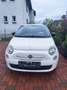 Fiat 500 500 1.2 Pop - thumbnail 4