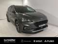 Ford Focus Focus 1.5 EcoBoost Active Navi+LED+AHK+WinterP BC Grau - thumbnail 1