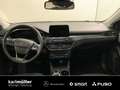 Ford Focus Focus 1.5 EcoBoost Active Navi+LED+AHK+WinterP BC Grau - thumbnail 7
