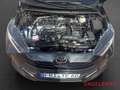 Toyota Yaris Hybrid Teamplayer CarPlay Sitzheizung LED Noir - thumbnail 14