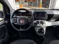 Fiat Panda Panda 1.0 FireFly S&S Hybrid Garmin, Aziendale, Iv Gris - thumbnail 9
