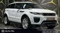 Land Rover Range Rover Evoque 2.0 HSE DYN-PANO-MEM-STD.HZ Blanc - thumbnail 7