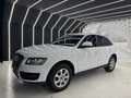 Audi Q5 Q5 AMBITION 2.0 170CV-4X4-24 MESI GARANZIA-PERMUTE Bianco - thumbnail 5