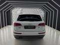 Audi Q5 Q5 AMBITION 2.0 170CV-4X4-24 MESI GARANZIA-PERMUTE Bianco - thumbnail 13