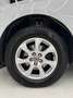 Audi Q5 Q5 AMBITION 2.0 170CV-4X4-24 MESI GARANZIA-PERMUTE Bianco - thumbnail 2