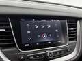 Opel Grandland X 1.6 Turbo Business Executive | Trekhaak | LMV | Pa Grijs - thumbnail 24