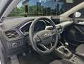Ford Focus 1.0 Ecoboost MHEV Trend+ 125 Blanco - thumbnail 7