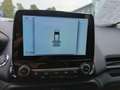 Ford EcoSport 1.0 ST-Line Navi Xenon beh. Frontscheibe Klima Grau - thumbnail 11