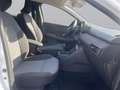 Dacia Sandero Sandero Stepway Extreme TCe 110 Blanco - thumbnail 10