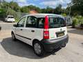 Fiat Panda 1.1 8V Active*87KM*AHK*TÜV NEU Blanco - thumbnail 7