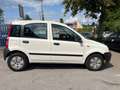Fiat Panda 1.1 8V Active*87KM*AHK*TÜV NEU Blanco - thumbnail 4