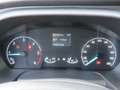 Ford Transit Kombi 350 L3H2 PDC 9-Sitzer Argent - thumbnail 8