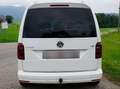 Volkswagen Caddy Caddy Kombi Comfortline 2,0 TDI Comfortline Weiß - thumbnail 7