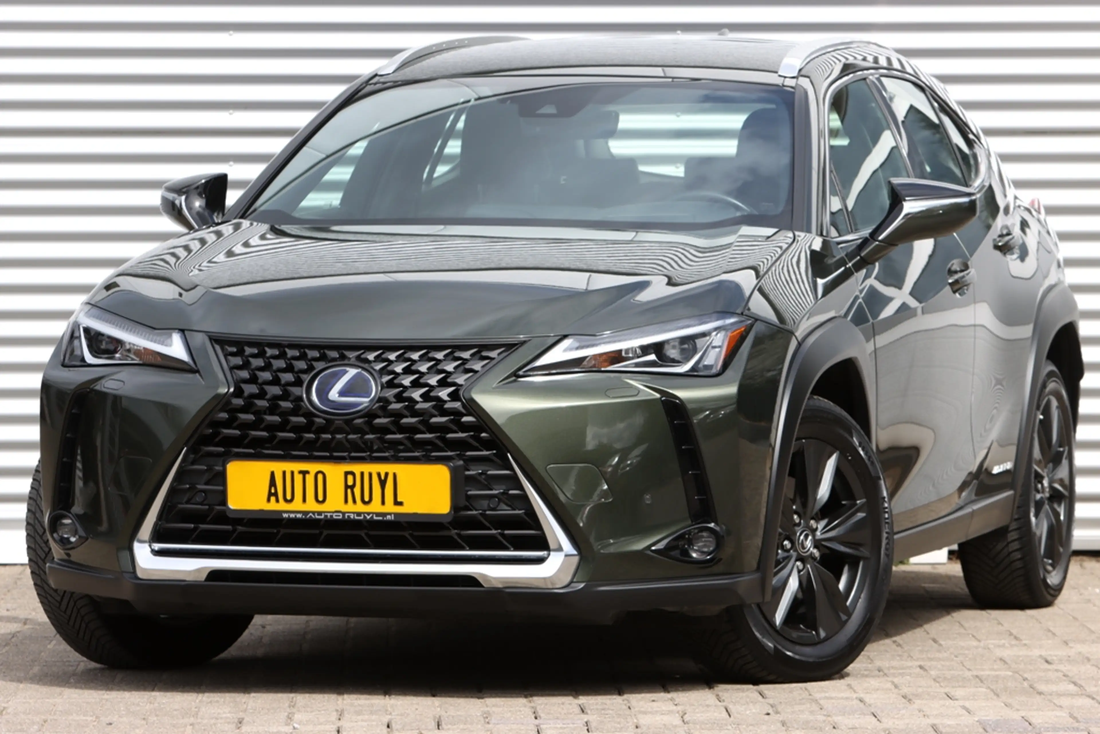 Lexus UX 250h Luxury Line Leer