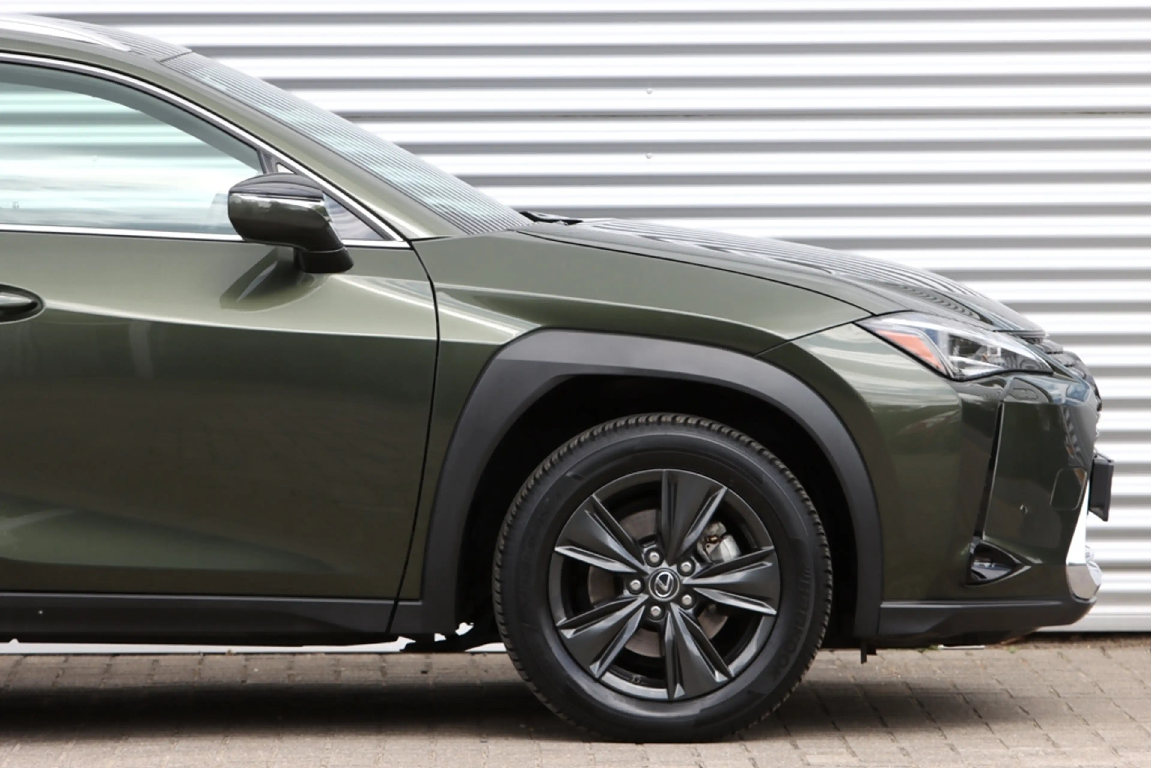 Lexus UX 250h Luxury Line Leer — photo 8