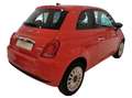 Fiat 500 1.0 70cv Hybrid Rood - thumbnail 5