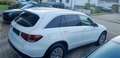 Mercedes-Benz GLC 200 GLC -Klasse GLC 200 d 4Matic Weiß - thumbnail 6