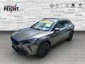 CUPRA Formentor 2.0 TSI VZ+Tribe Edition+LED+NAVI+PANO Grau - thumbnail 1