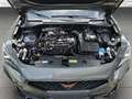 CUPRA Formentor 2.0 TSI VZ+Tribe Edition+LED+NAVI+PANO Gris - thumbnail 18