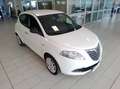 Lancia Ypsilon Ypsilon 1.2 8v Silver OK NEOPATENTATI Bianco - thumbnail 3