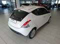 Lancia Ypsilon Ypsilon 1.2 8v Silver OK NEOPATENTATI Bianco - thumbnail 12