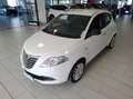 Lancia Ypsilon Ypsilon 1.2 8v Silver OK NEOPATENTATI Bianco - thumbnail 1