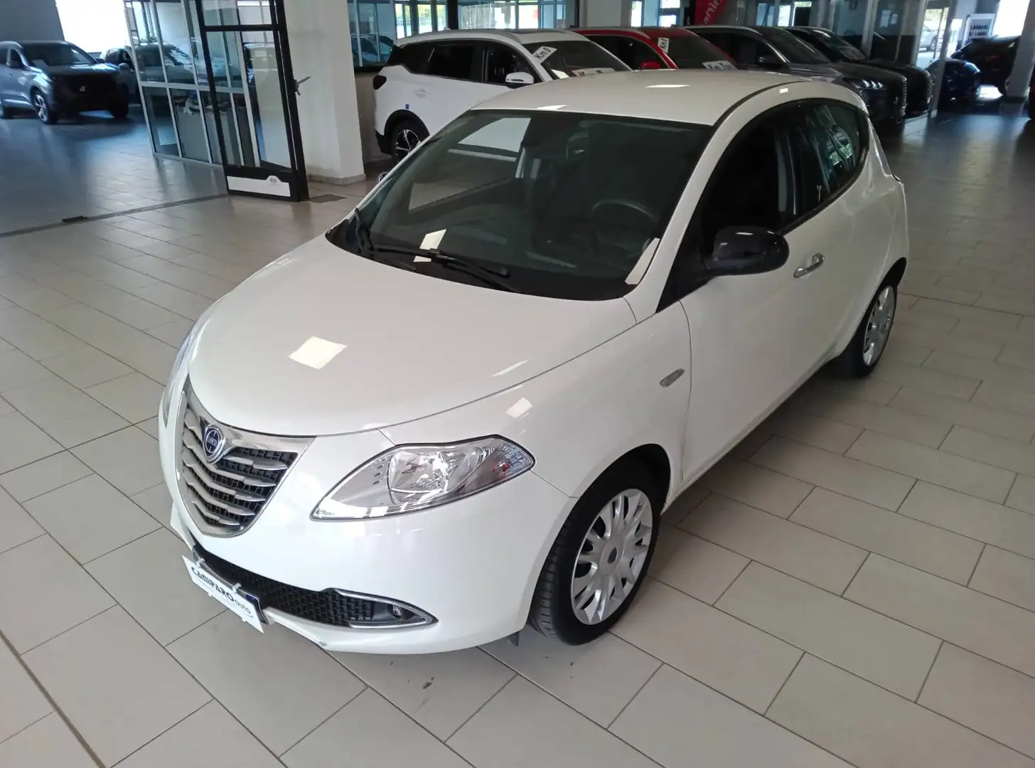 Lancia Ypsilon Ypsilon 1.2 8v Silver OK NEOPATENTATI Bianco - 1