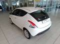 Lancia Ypsilon Ypsilon 1.2 8v Silver OK NEOPATENTATI Bianco - thumbnail 14