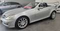 Mercedes-Benz SLK 200 EDITION  /AUTOMATIK/LEADER/GARANZIA12M Argento - thumbnail 15
