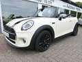 MINI One Cabrio Klimaaut Navi SportLeder LED PDC Alus Weiß - thumbnail 17