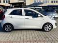 Kia Picanto Picanto II 2011 1.0 Glam Gpl 67cv 5p Bianco - thumbnail 7