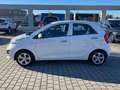 Kia Picanto Picanto II 2011 1.0 Glam Gpl 67cv 5p Bianco - thumbnail 3