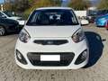 Kia Picanto Picanto II 2011 1.0 Glam Gpl 67cv 5p Bianco - thumbnail 1