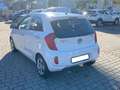 Kia Picanto Picanto II 2011 1.0 Glam Gpl 67cv 5p Bianco - thumbnail 4