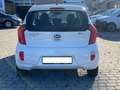 Kia Picanto Picanto II 2011 1.0 Glam Gpl 67cv 5p Bianco - thumbnail 5