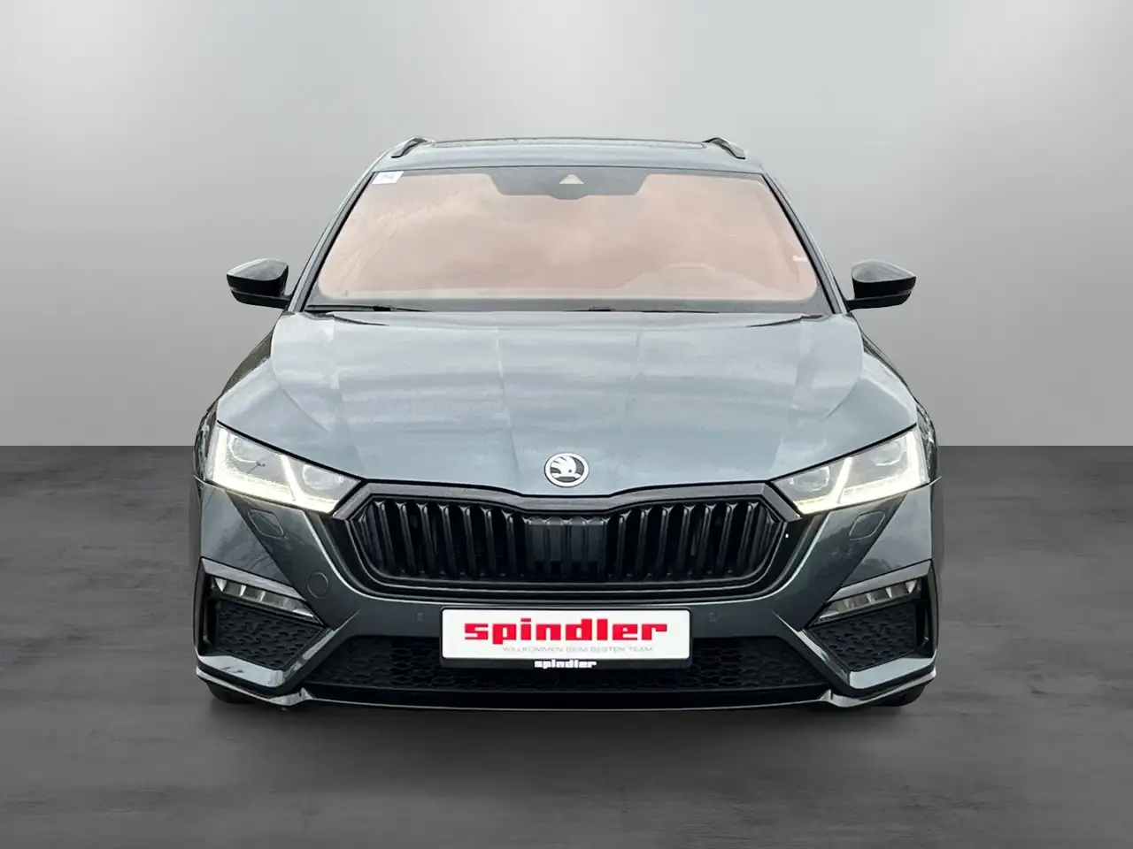 Skoda Octavia Combi RS 2.0 TDI 4x4 DSG / Pano, Matrix, миниатюра 2