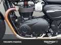 Triumph Street Twin 900 65 cv Grigio - thumbnail 8