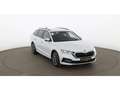 Skoda Octavia Combi 1.5 TSI Ambition MATRIX RADAR NAVI Weiß - thumbnail 7