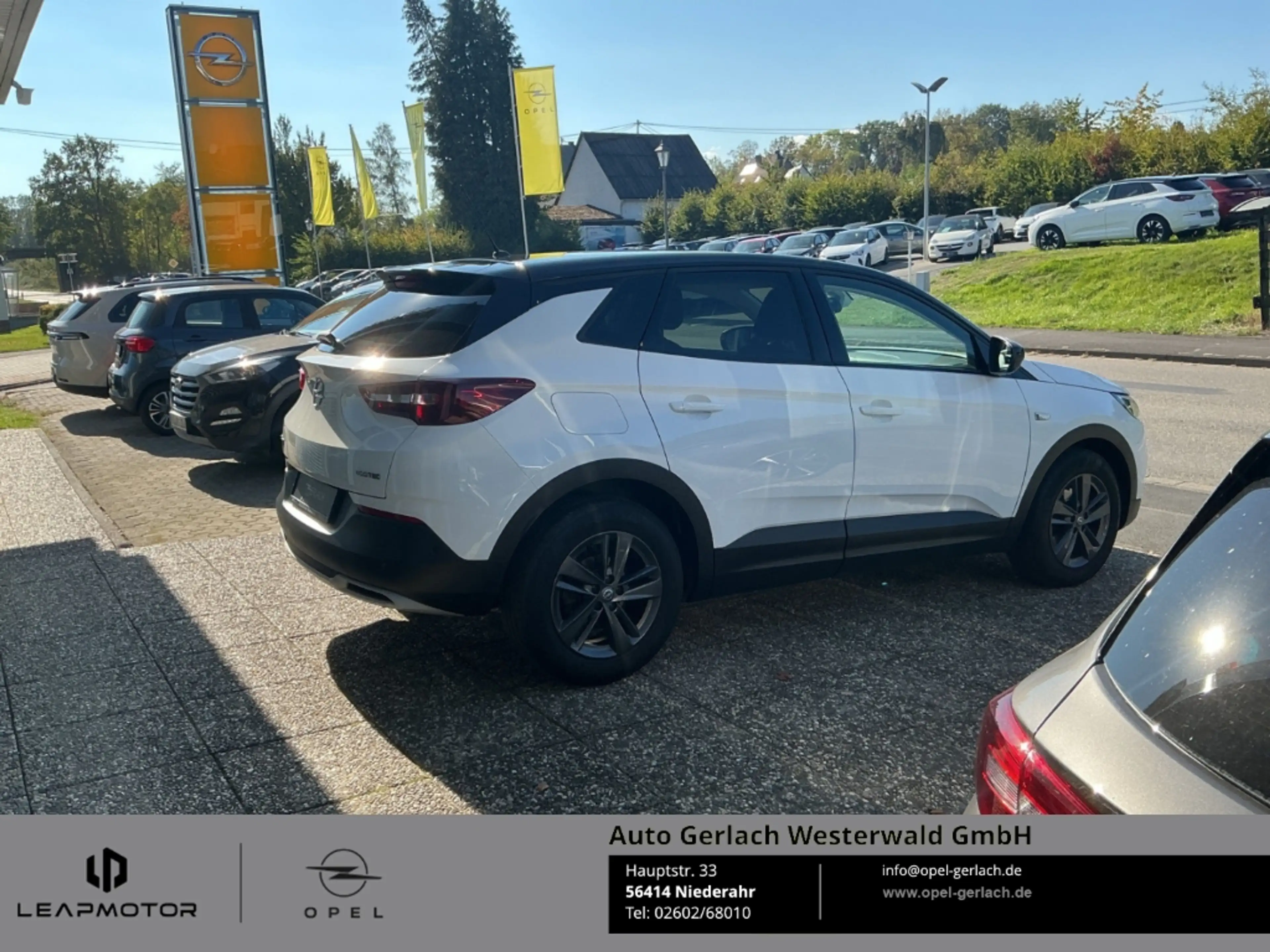 Opel Grandland Design Line Apple CarPlay Android Auto Mehrzonenkl — photo 13