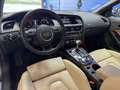 Audi Cabriolet 3.0 V6 TDI 204cv BVA Multitronic Ambiente-Garantie Kahverengi - thumbnail 14