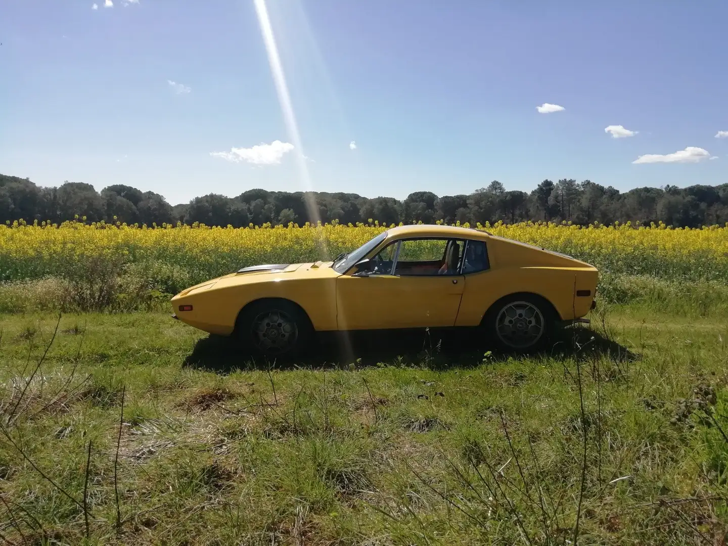 Saab Sonett III Galben - 1