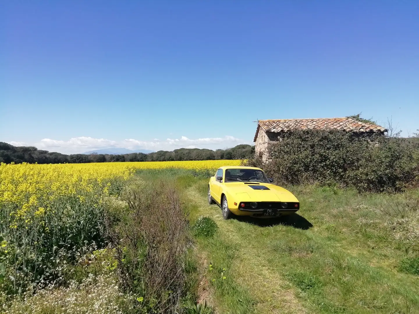 Saab Sonett III Galben - 2