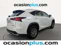 Lexus NX 300 300h Business Navigation 2WD Blanc - thumbnail 4