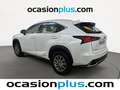 Lexus NX 300 300h Business Navigation 2WD Blanc - thumbnail 3